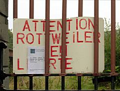 Bild: Fort de La Chartreuse - Warnung vor Yak