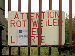 Bild: Fort de La Chartreuse - Warnung vor Yak