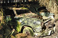 Bild: Autofriedhof Chatillon