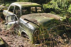 Bild: Autofriedhof Chatillon