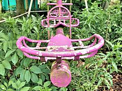 Bild: Dadipark