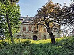 Palac w Strzybniku / Schloss Silberkopf