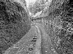 Bild: Via Cava del Gradone (Pitigliano) - Rundlöcher im Boden