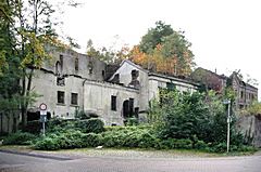 Bild: Brauerei Ibing