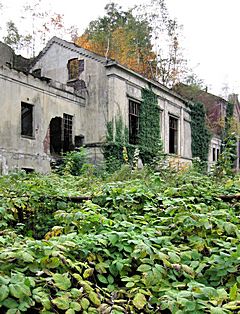 Bild: Brauerei Ibing