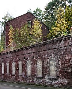 Bild: Brauerei Ibing