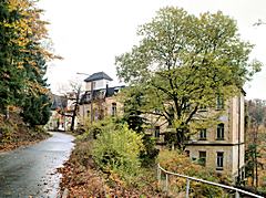 Bild: Zufahrt, rechts das Privatsanatorium Dr.Kremser