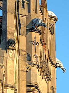 Bild: Wasserspeier / Gargoyles am Südturm