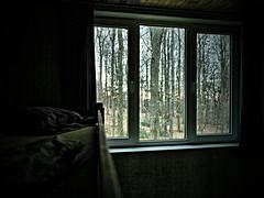Bild: Ferienhaus Boskant: Wald vor dem Fenster