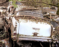 Bild: Autofriedhof Gürbetal