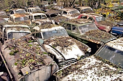 Bild: Autofriedhof Gürbetal