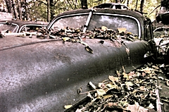 Bild: Autofriedhof Gürbetal