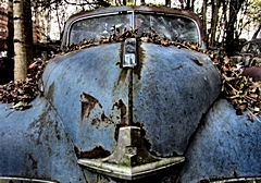 Bild: Autofriedhof Gürbetal