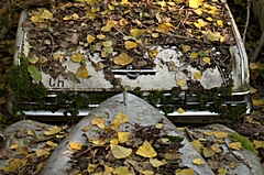 Bild: Autofriedhof Gürbetal