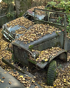 Bild: Autofriedhof Gürbetal