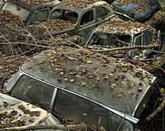 Bild: Autofriedhof Gürbetal