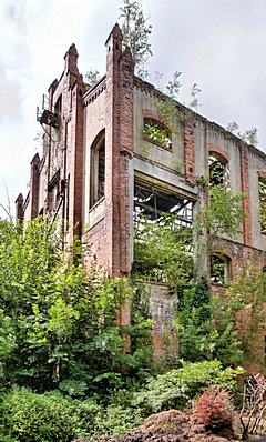 Bild: Brikettfabrik Obernkirchen