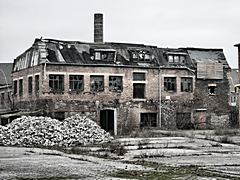 Bild: Ausgebrannt - Ostara (Januar 2006)
