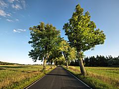 Bild: Mecklenburg-Vorpommern