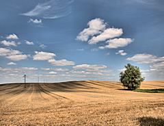 Bild: Mecklenburg-Vorpommern