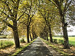 Bild: Mecklenburg-Vorpommern