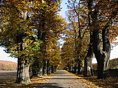 Bild: Grafenberg