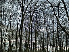 Bild: Lohausen