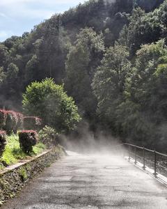 Bild: Dampfender Asphalt nach einem Gewitter