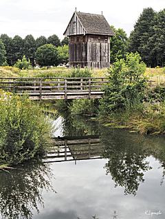 Bild: 