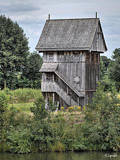 Bild: 
