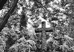Bild: Golzheimer Friedhof