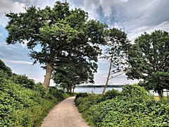 Bild: Spazierweg