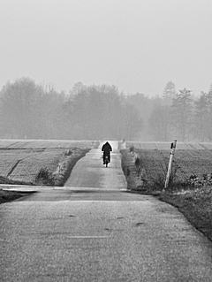 Bild: Der Kreuz-Wildweg