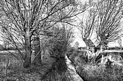 Bild: Am Mühlenbach