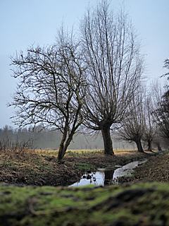 Bild: An der Strempe