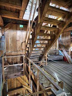 Bild: 