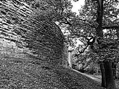 Bild: Ringmauer der Unterburg