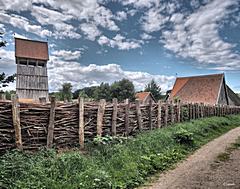 Bild: Wall mit Flechtzaun