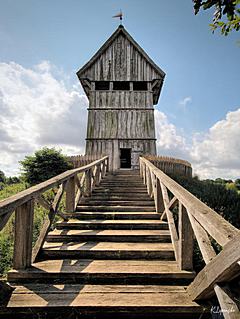 Bild: Die Turmhügelburg (Motte)