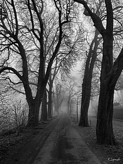 Bild: Kaiserswerth