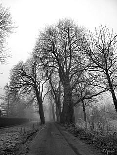 Bild: Kaiserswerth