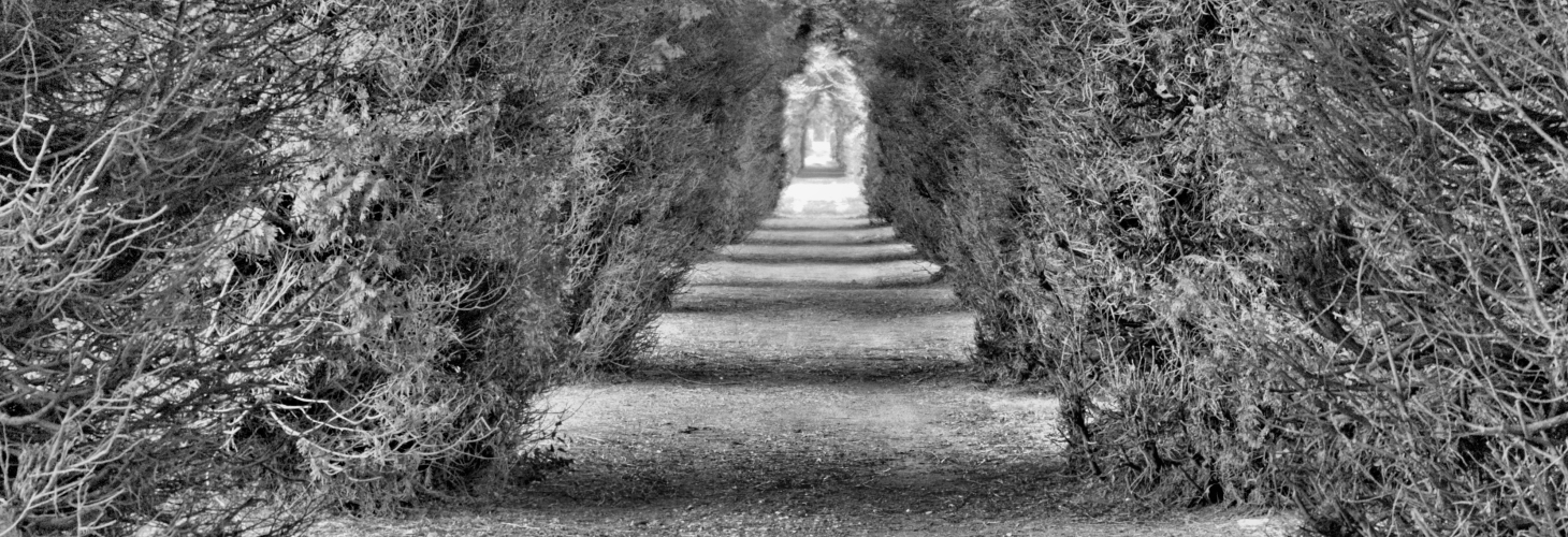 Titelbild von Nordfriedhof Düsseldorf