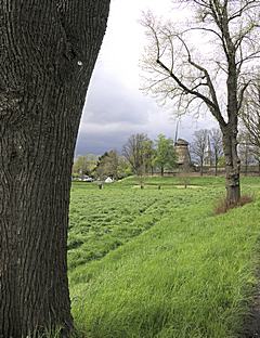 Bild: Sturm auf Zons