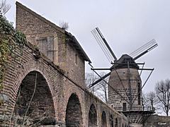 Bild: südliche Stadtmauer und Mühlenturm