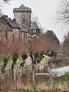 Bild: Rheinturm und rheinseitige Front bei Hochwasser