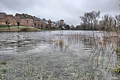 Bild: Zonser Rheinaue bei Hochwasser