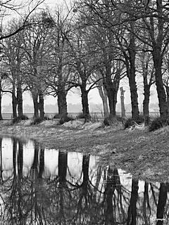 Bild: Wiesenstraße und südliche Rheinauen