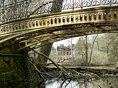 Bild: Brücke im Park