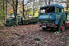 Bild: Mercedes Typ L Rundhauber und Magirus Deutz 310D22