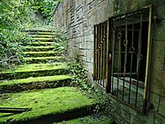 Bild: seitliche wunderschön bemooste Treppe
